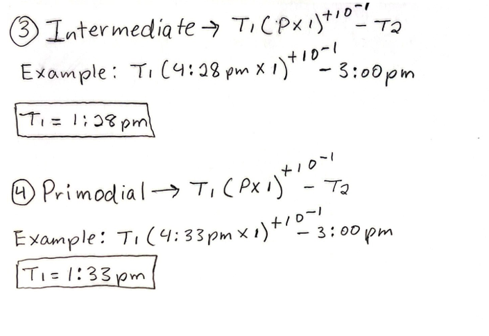 Intermediate and Primordial black hole formulas — handwritten time calculation examples